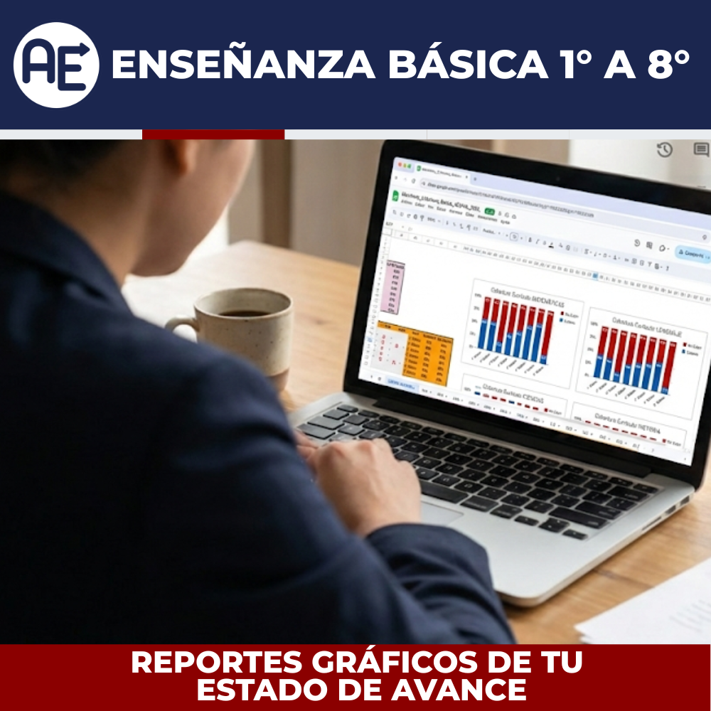 Monitoreo Cobertura Curricular 1° a 8° Básico - Plantilla Excel Editable (2026) - Imagen 2