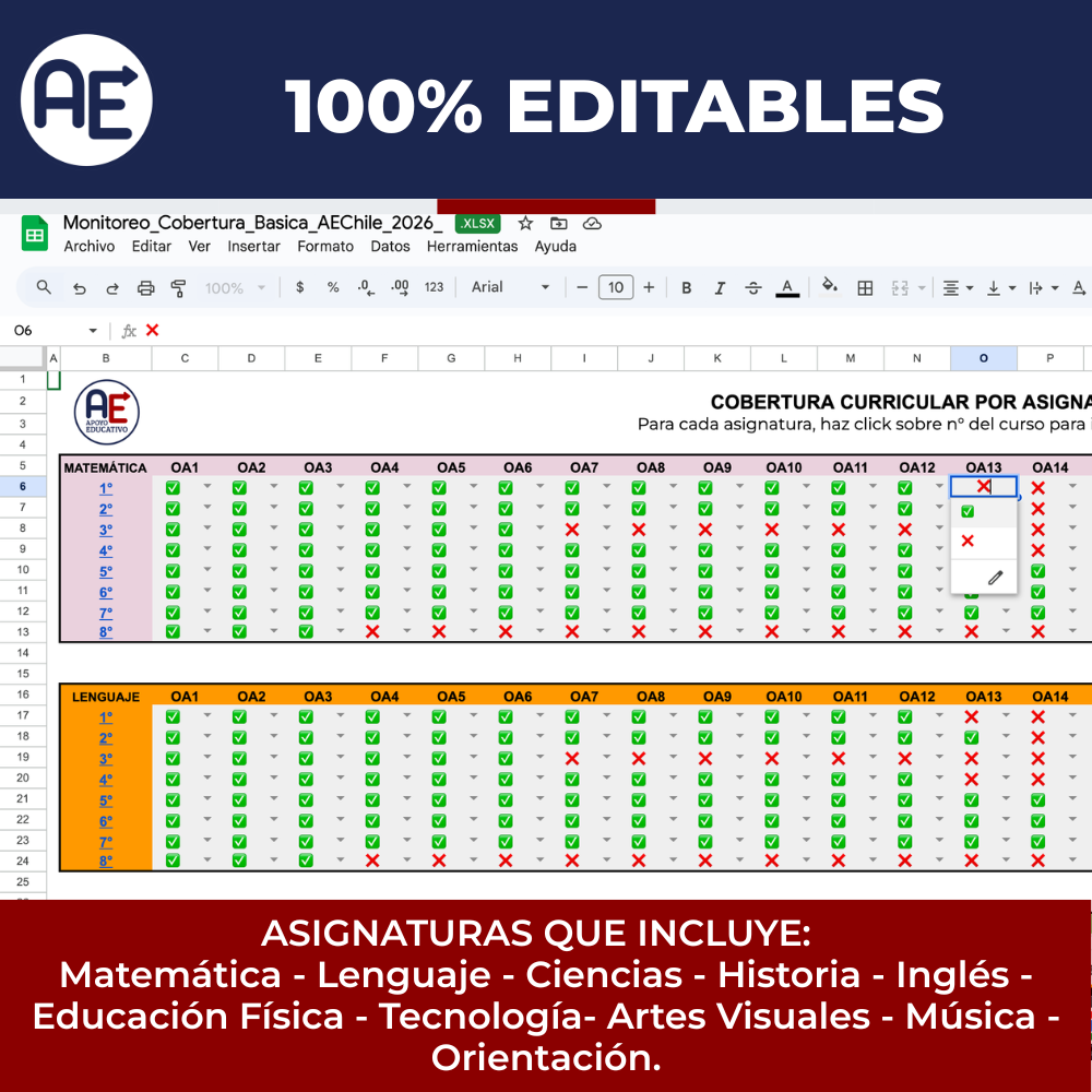 Monitoreo Cobertura Curricular 1° a 8° Básico - Plantilla Excel Editable (2026) - Imagen 3