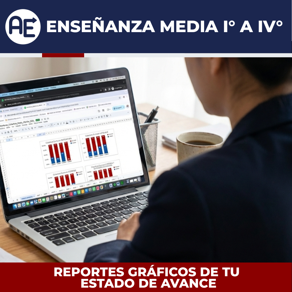 Monitoreo Cobertura Curricular I° a IV° Medio - Plantilla Excel Editable (2026) - Imagen 2